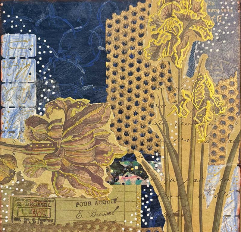 Iris Odyssey - Mixed Media by Kaaren Krueger