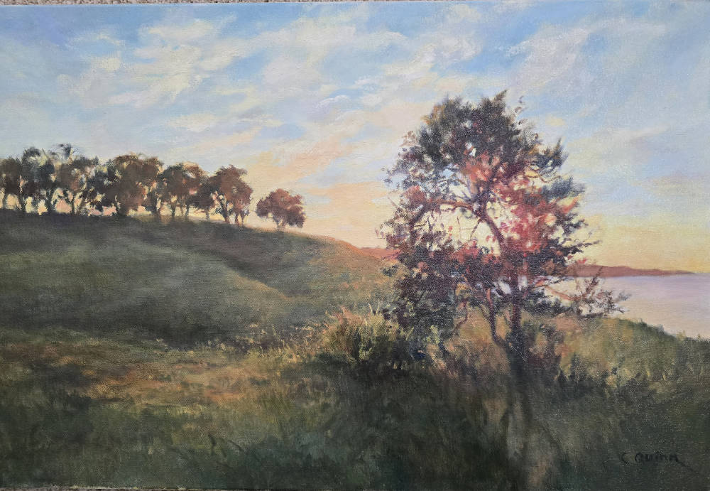 Colors of Folsom 2D: 3rd Place Evening at Folsom Point by Carol Quinn