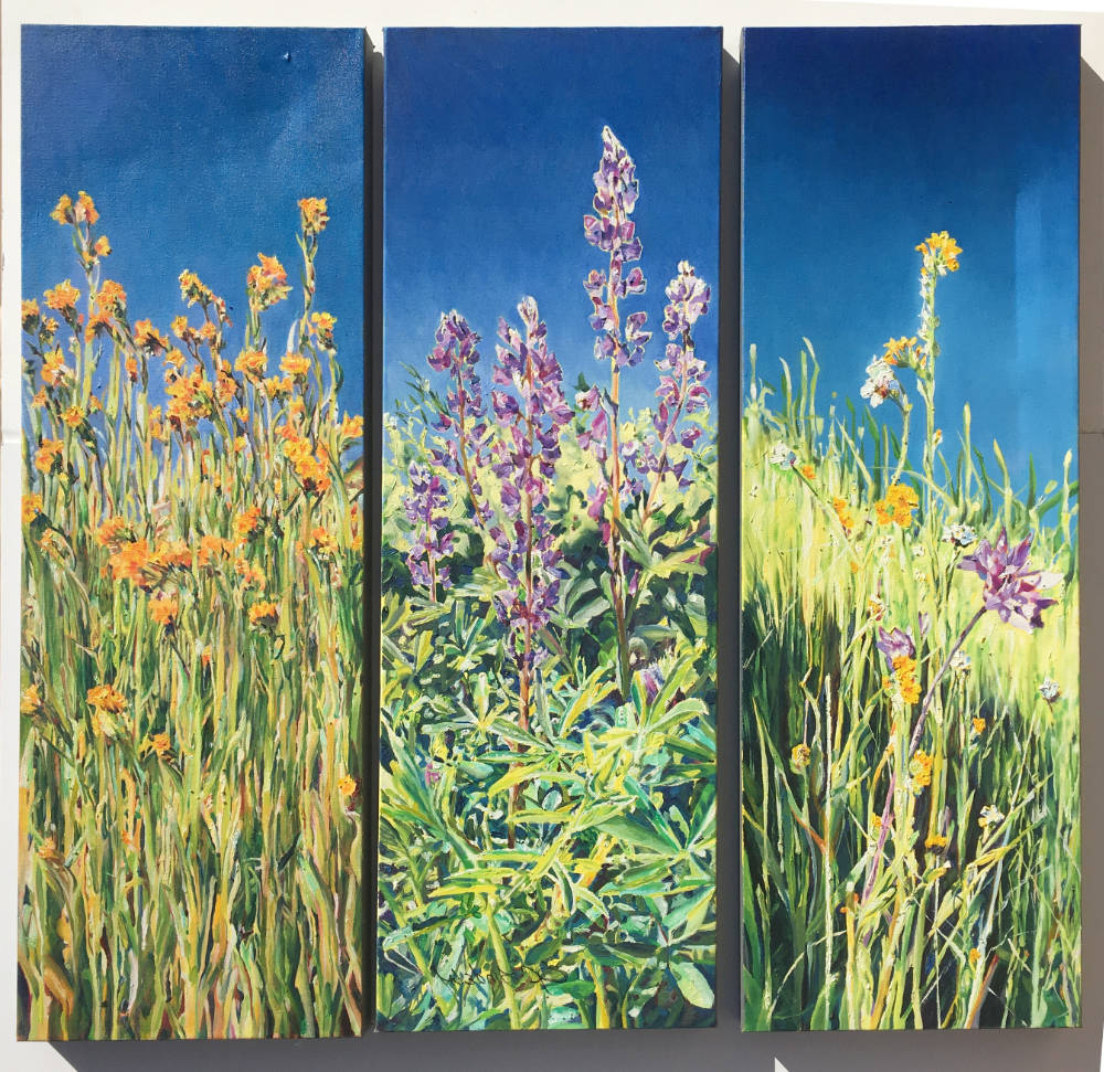 Colors of Folsom Best of Show: Wild Flowers by Joann Wilson