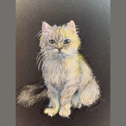 Variation on a Theme - Kitty Challenge
