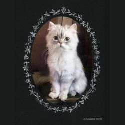 Variation on a Theme - Kitty Challenge